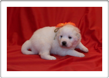 Capture One Session0375_1